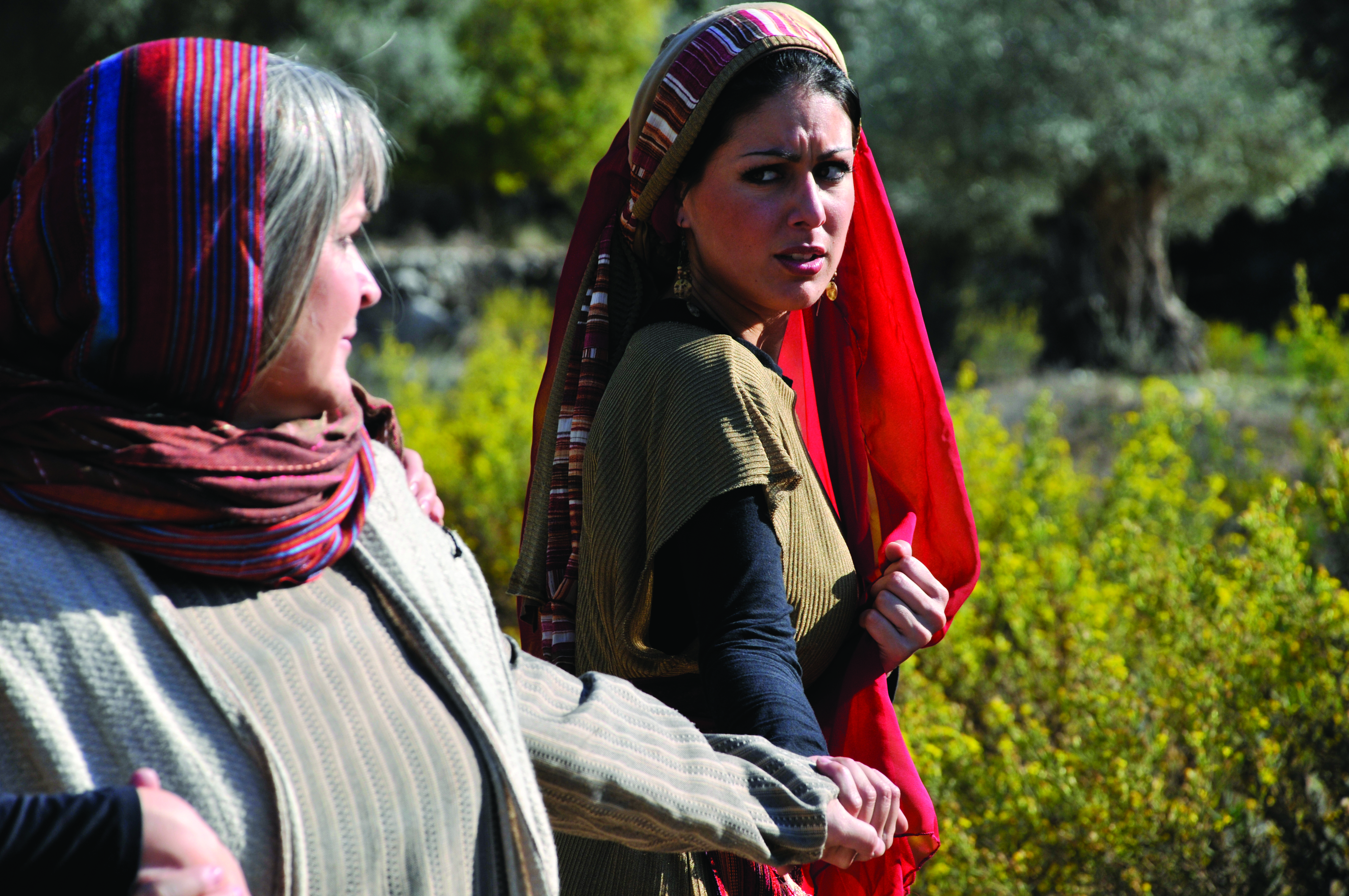 Christian Friends of Israel